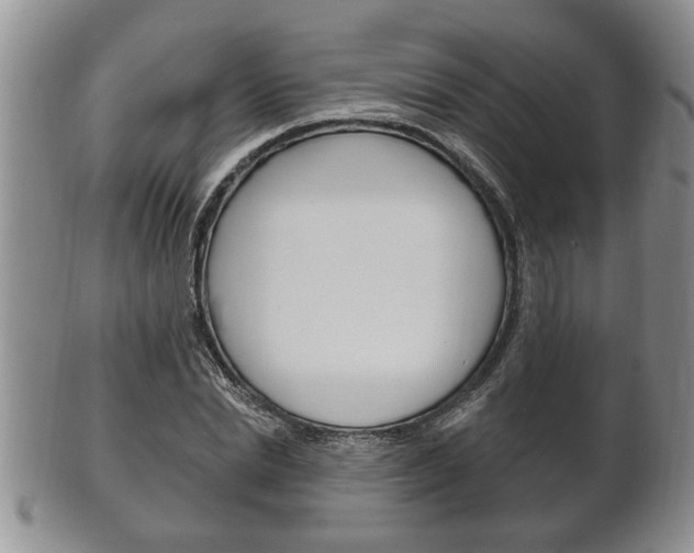 X0000102500830200808080943