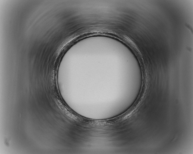 X0000102500831200808080943