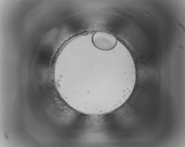 X0000102500832200808080943