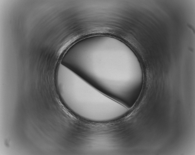 X0000102500834200808080943