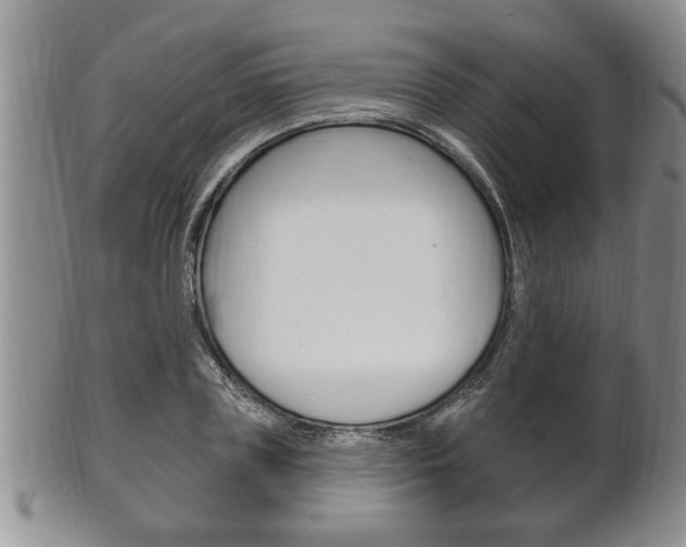 X0000102500835200808080943