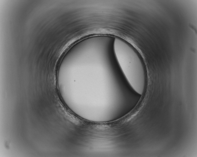 X0000102500837200808080943