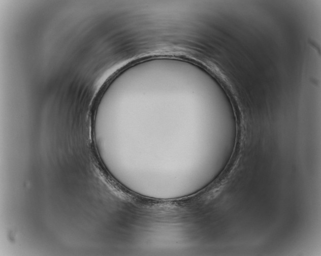 X0000102500838200808080943
