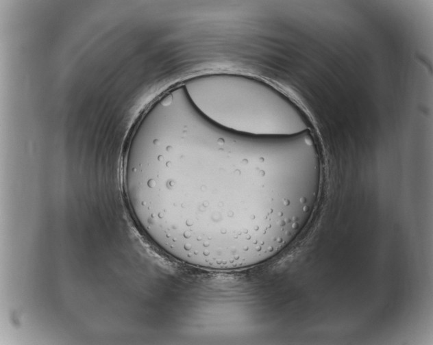 X0000102500839200808080943