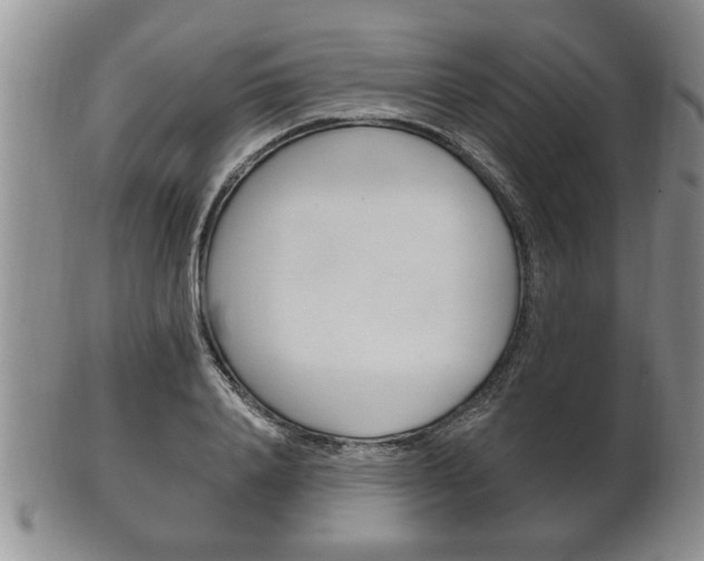 X0000102500840200808080943