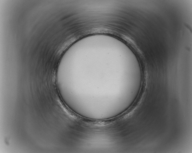 X0000102500841200808080943