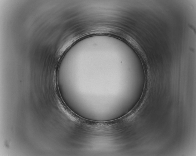 X0000102500842200808080943