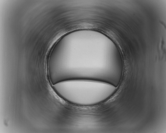 X0000102500843200808080943