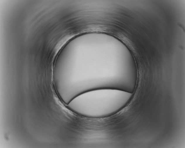 X0000102500844200808080943