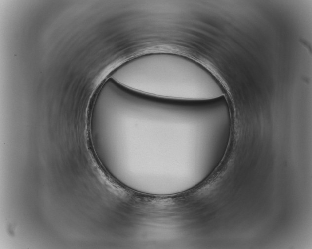 X0000102500845200808080943