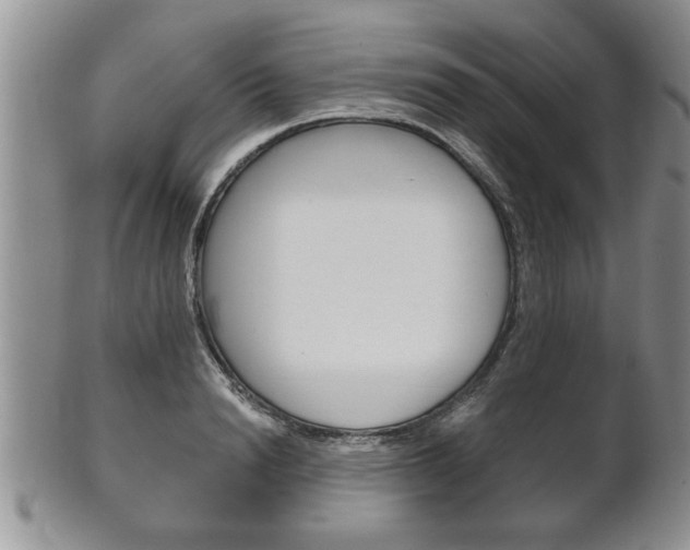 X0000102500846200808080943