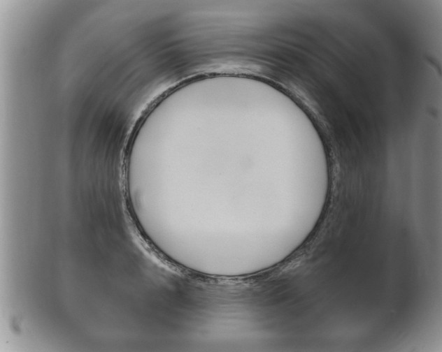 X0000102500848200808080943