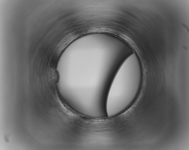X0000102500849200808080943