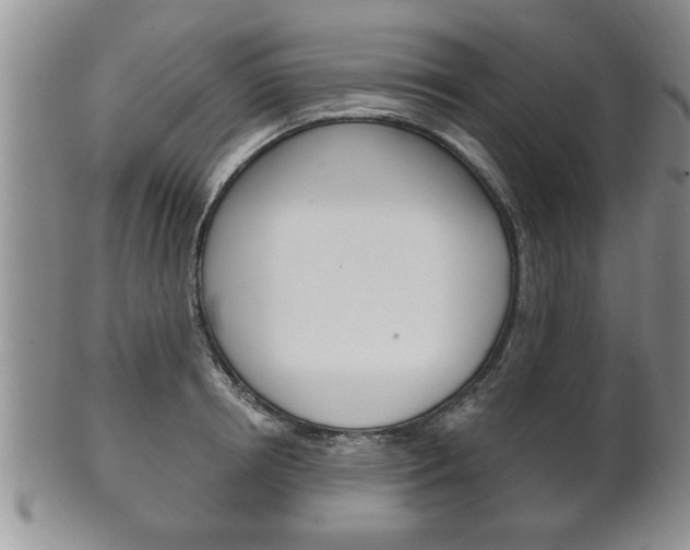 X0000102500850200808080943