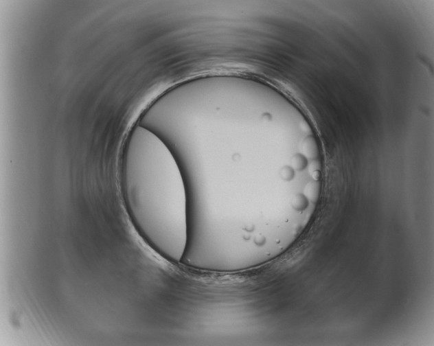 X0000102500851200808080943