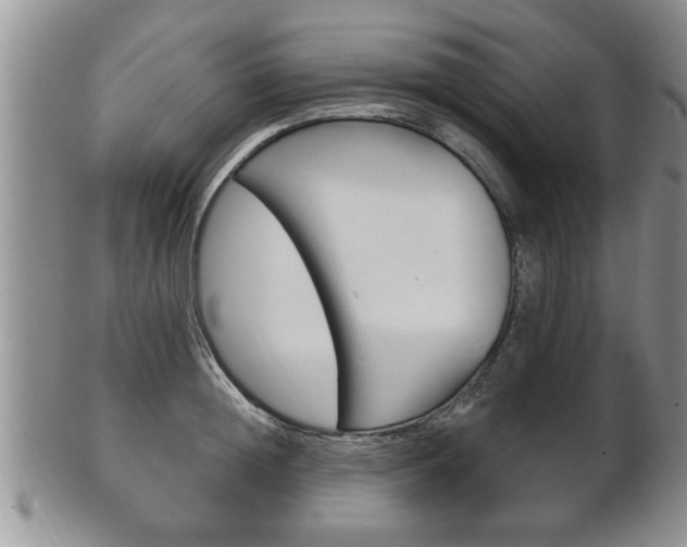 X0000102500852200808080943