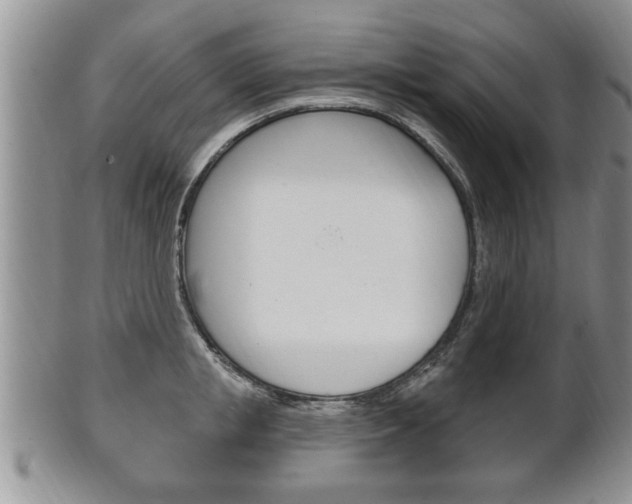 X0000102500853200808080943