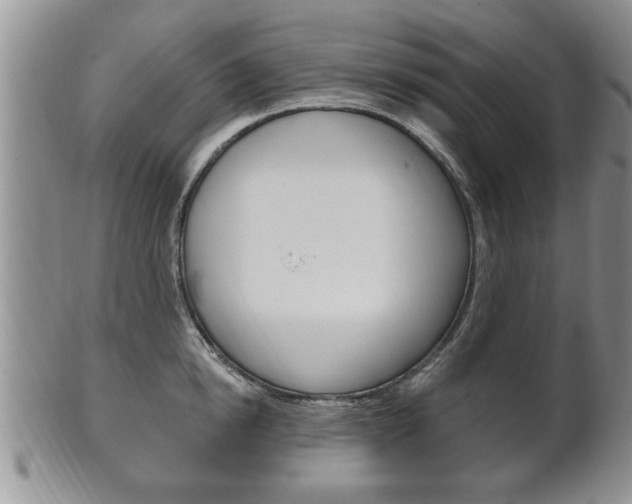 X0000102500854200808080943