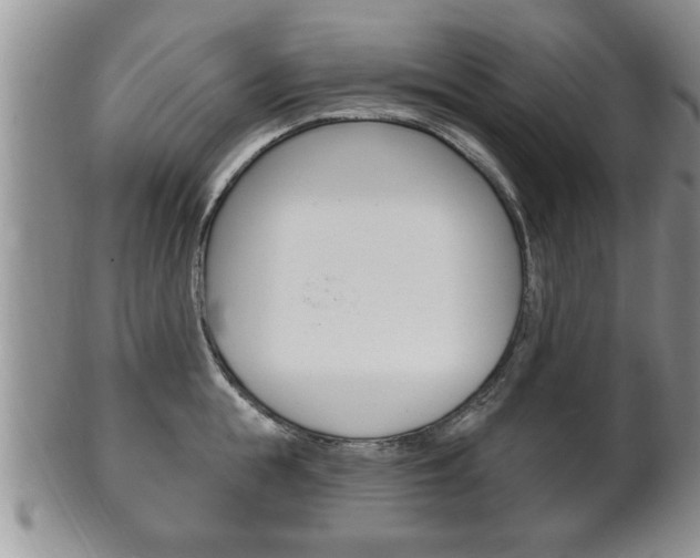 X0000102500855200808080943