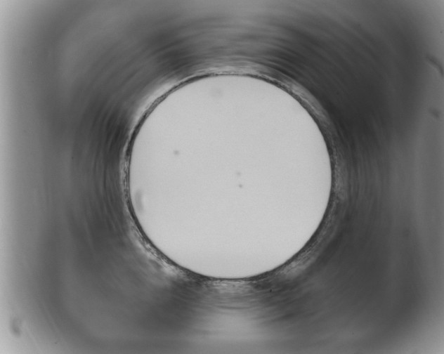 X0000102500856200808080943