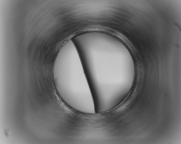 X0000102500857200808080943