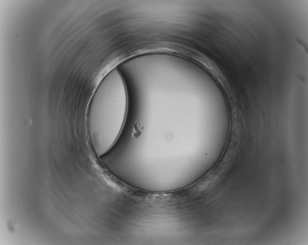 X0000102500858200808080943