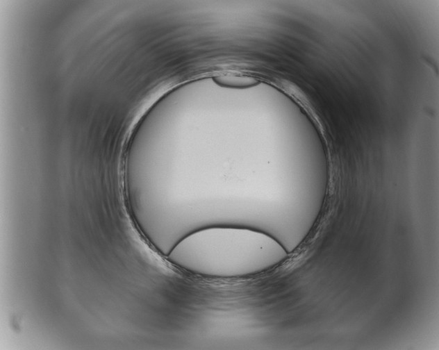 X0000102500859200808080943