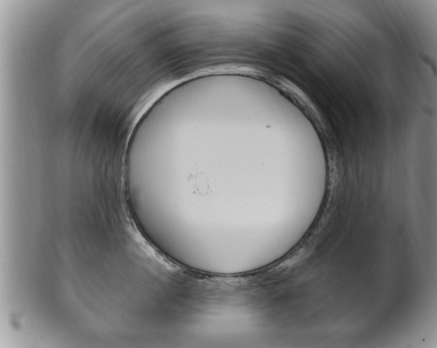X0000102500860200808080943
