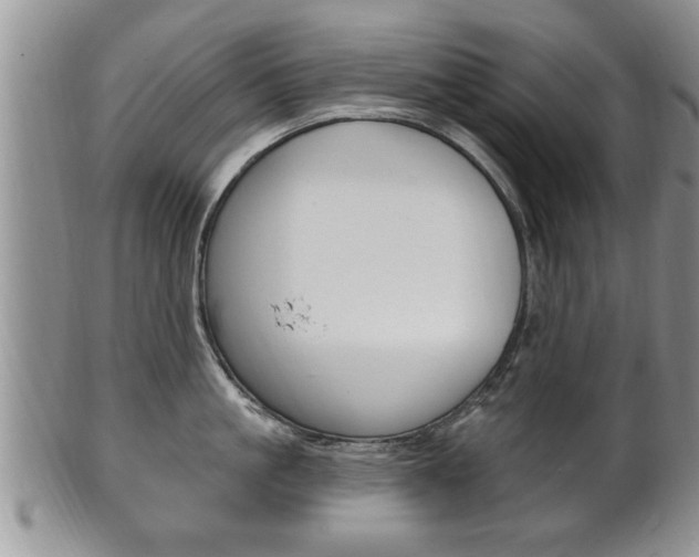 X0000102500861200808080943
