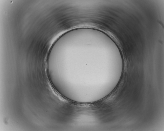X0000102500862200808080943