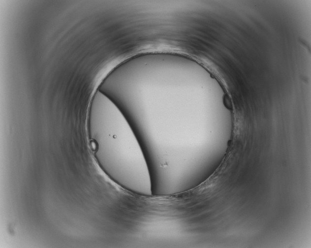 X0000102500863200808080943