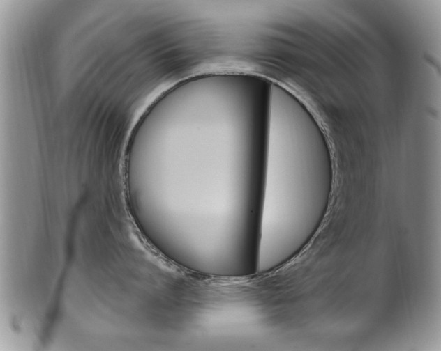 X0000102500864200808080943