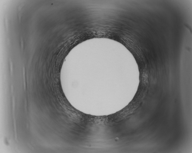 X0000102500865200808080942