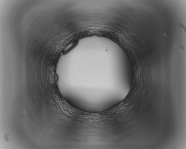 X0000102500868200808080942