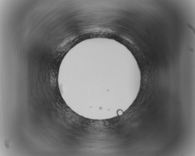X0000102500869200808080942
