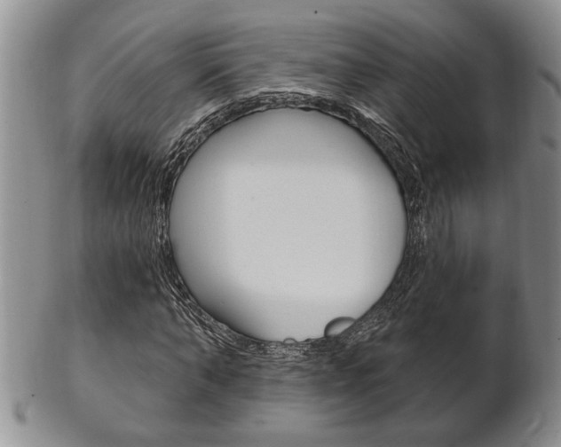 X0000102500870200808080942