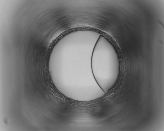 X0000102500871200808080942