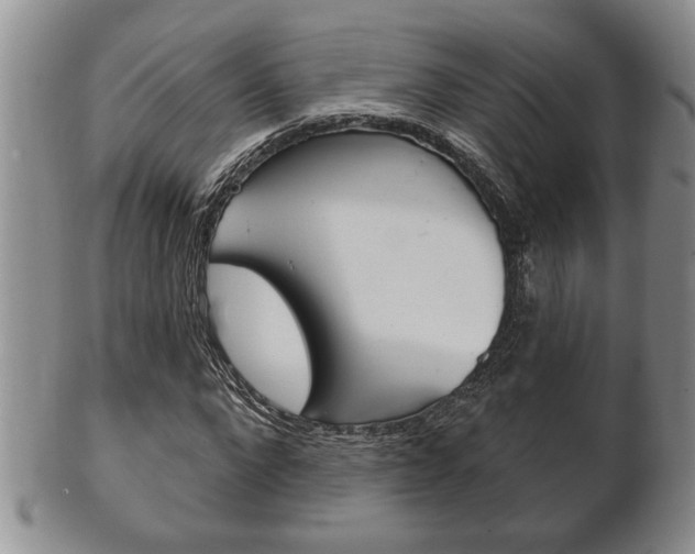 X0000102500872200808080942