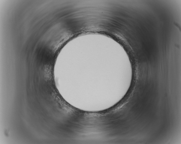 X0000102500873200808080942