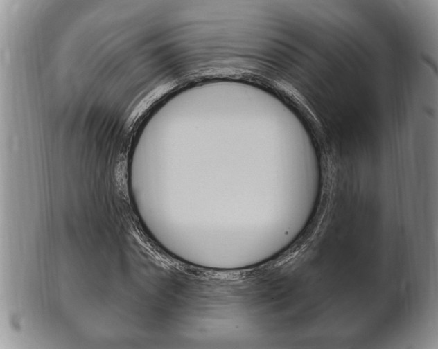 X0000102500874200808080942
