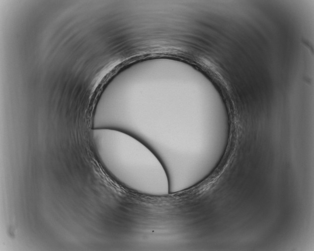 X0000102500875200808080942