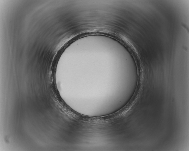 X0000102500876200808080942