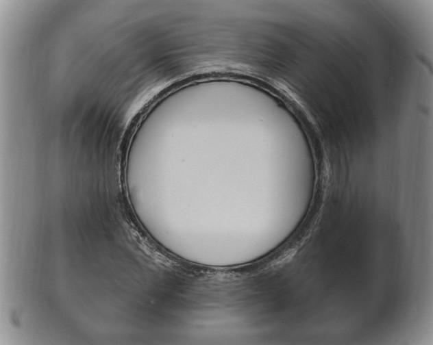 X0000102500877200808080942