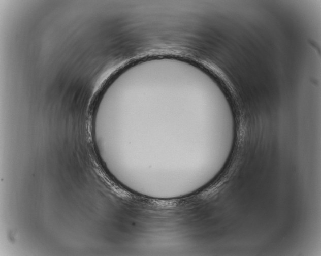 X0000102500878200808080942