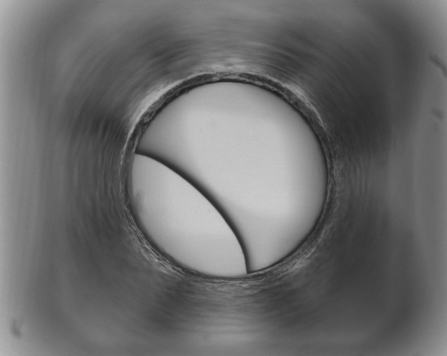 X0000102500879200808080942