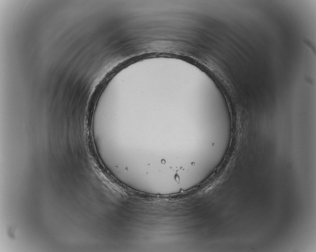 X0000102500880200808080942