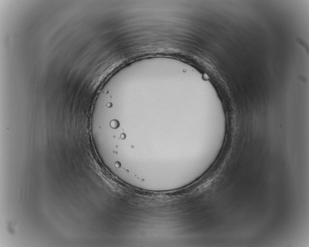 X0000102500881200808080942