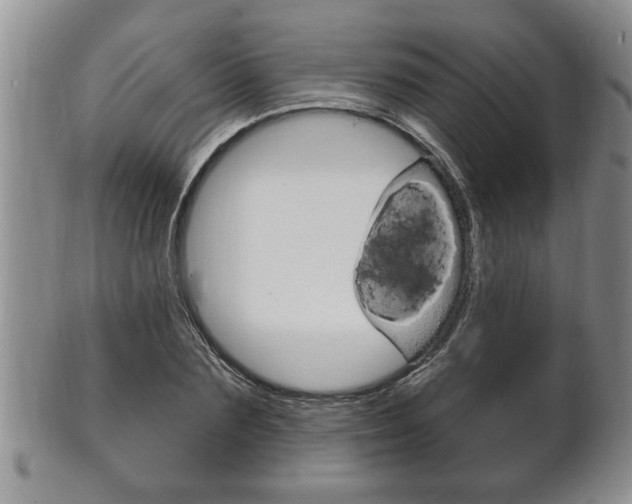 X0000102500883200808080942
