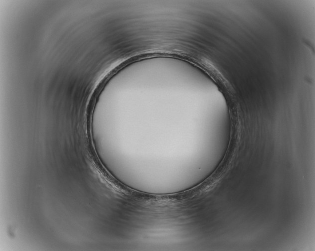 X0000102500884200808080942