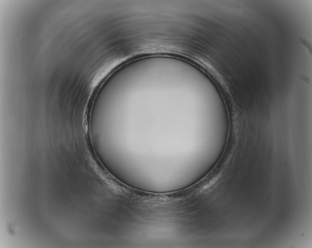 X0000102500885200808080942